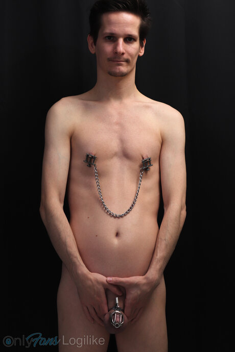 Logilikefree perfect pornstar gallery