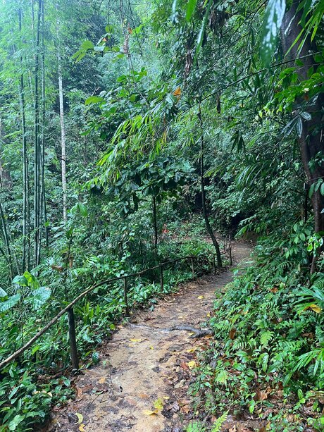 fitnessmodel onlyfans art porn photo