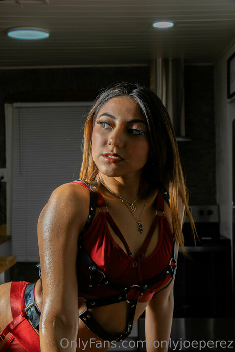 Illsocietymagazine star free img