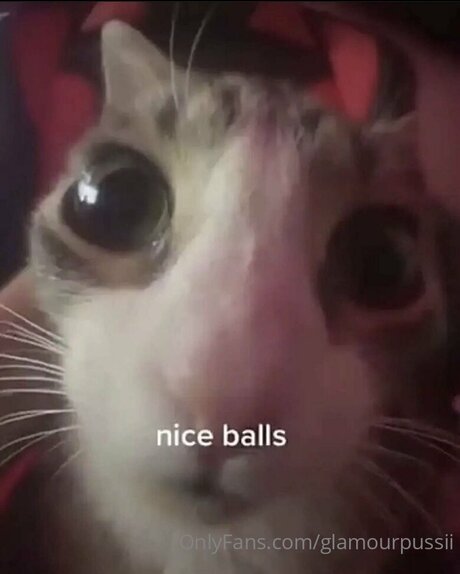 Glamourpussii high quality model image