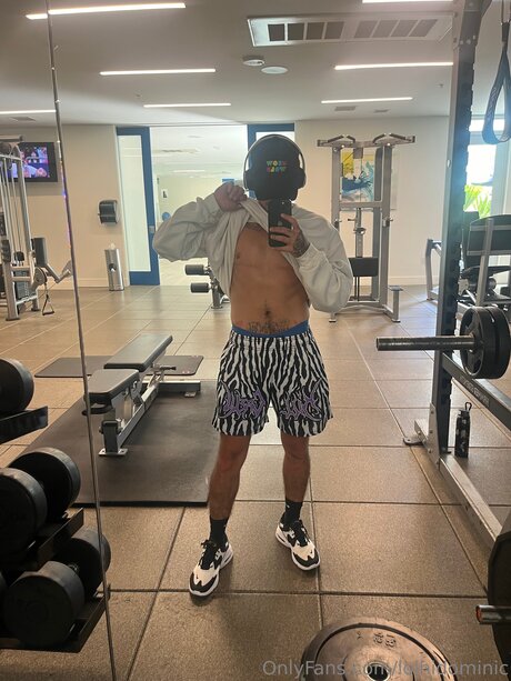 Ftmonlytrans profile image