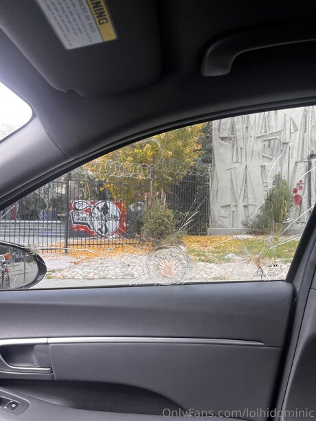 Ftmonlytrans nudes pornstar pic