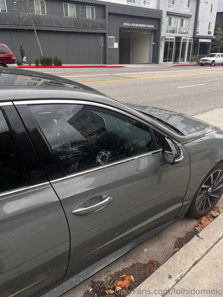 Ftmonlytrans adult star pic