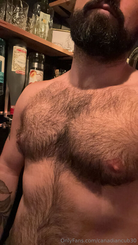 Canadiancub30 model adult img