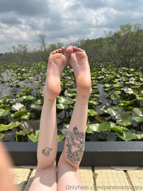 asian onlyfans xxx images