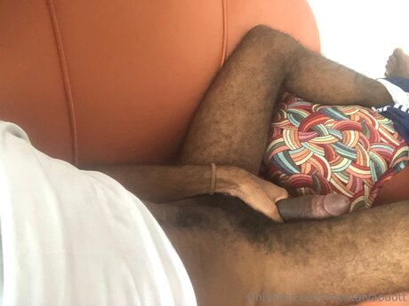 Montalvaodott model top img