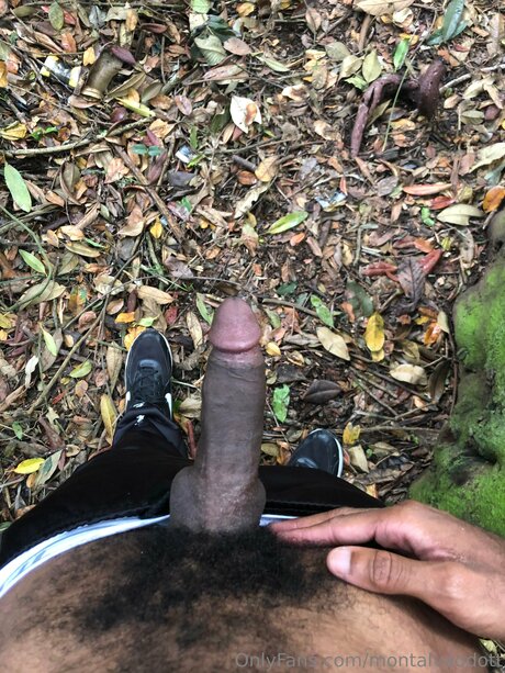 Montalvaodott porn model pics