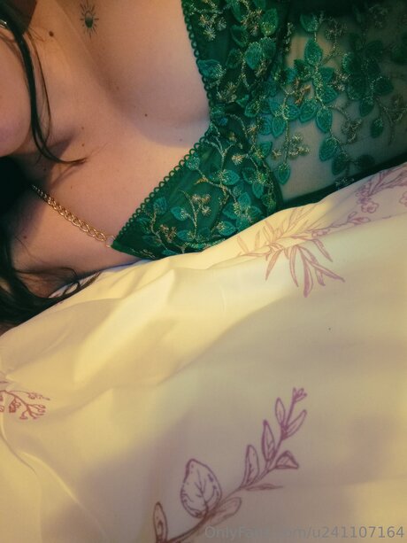 U241107164 nice star galleries