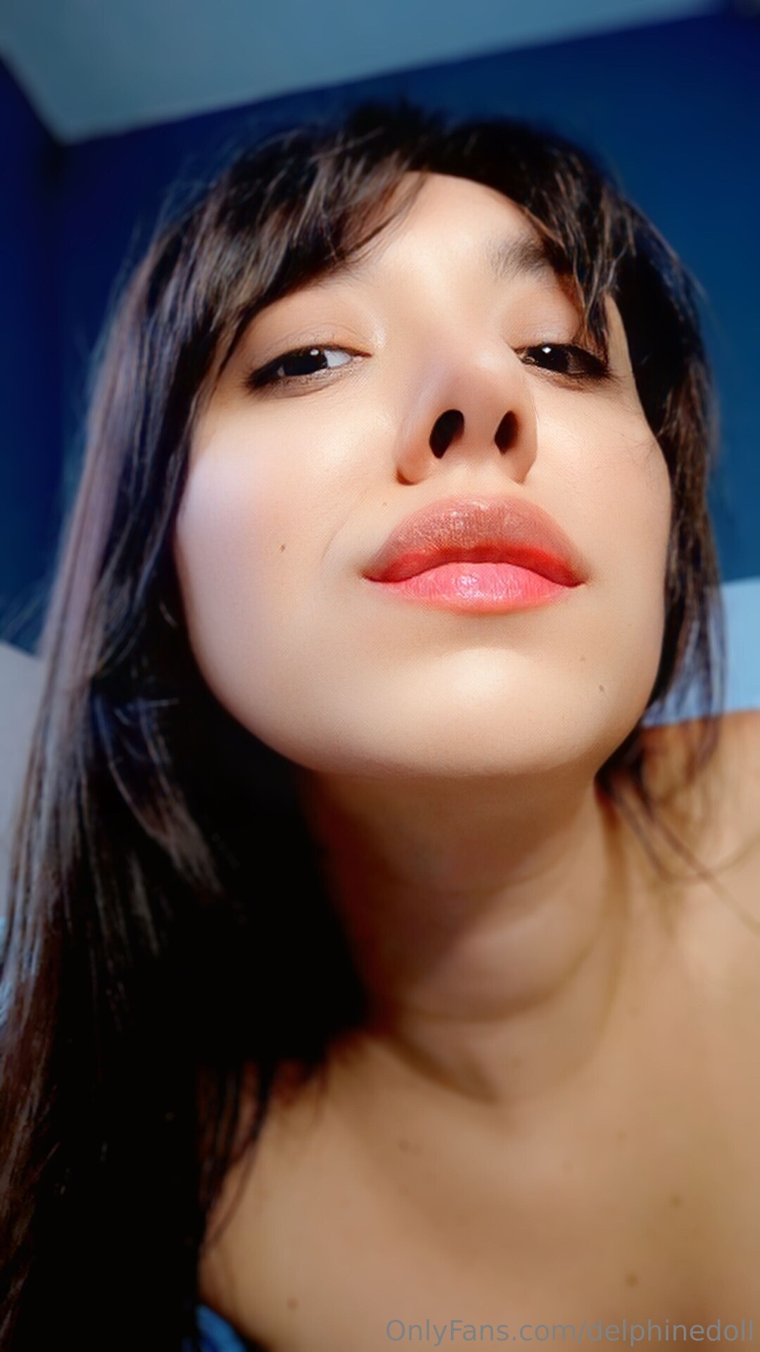 Delphinedoll pornstar art archive
