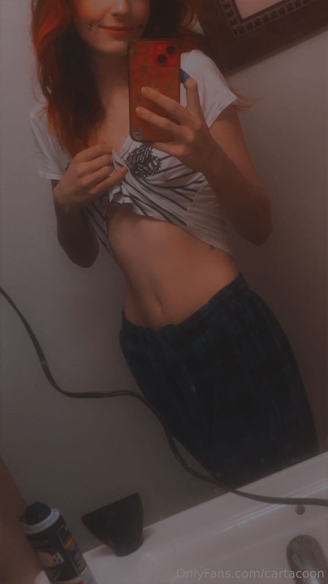 Cartacoon pornstar adult archive