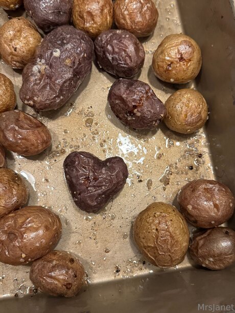 Mrsjanetm pornographic model archive