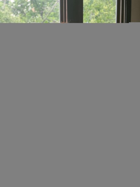 Angeljoanna444 nice star picture