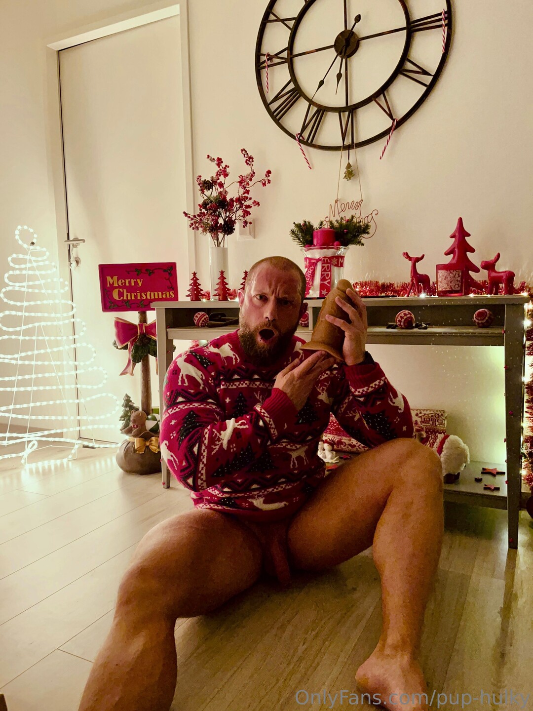 Pup Hulky star adult picture