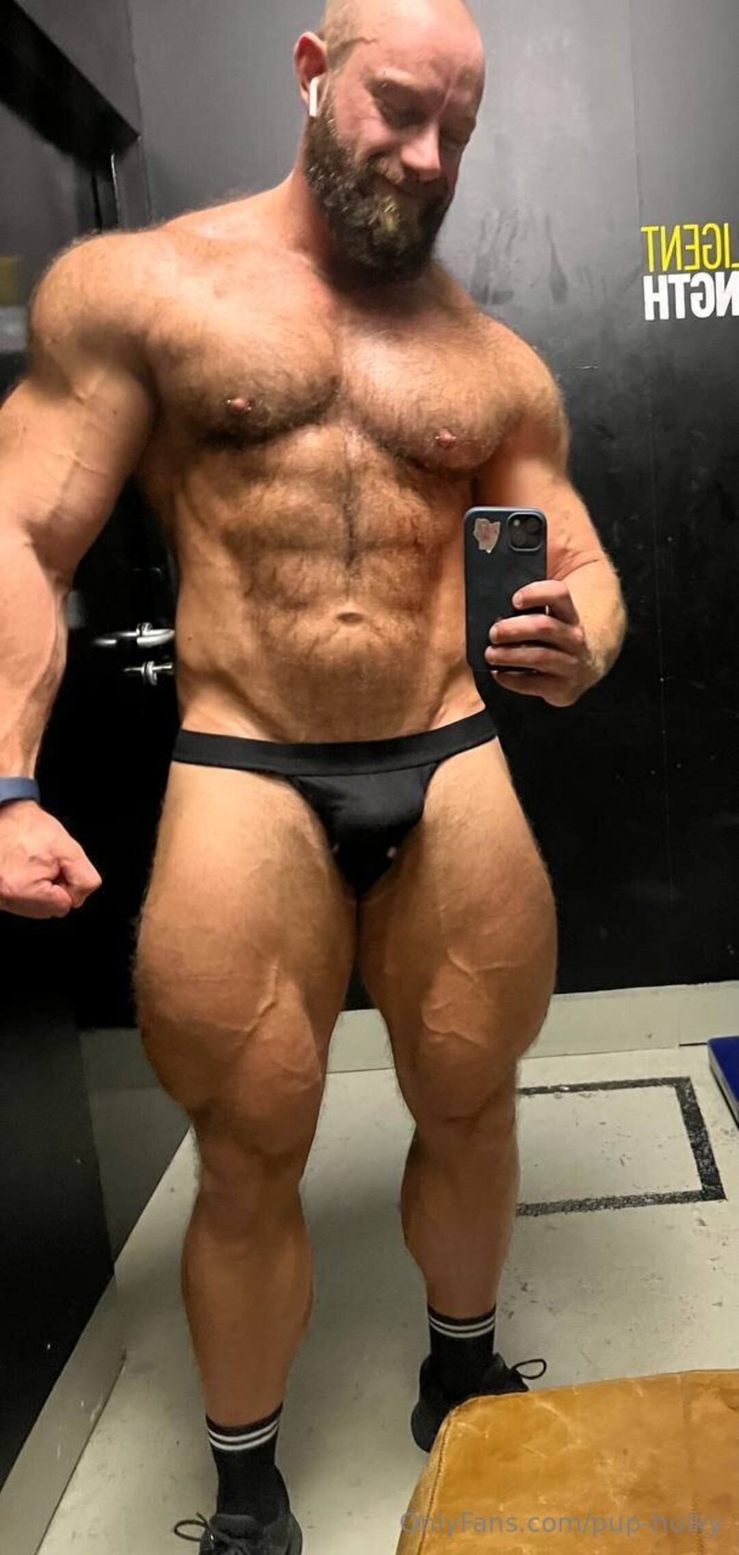 Pup Hulky best star pics
