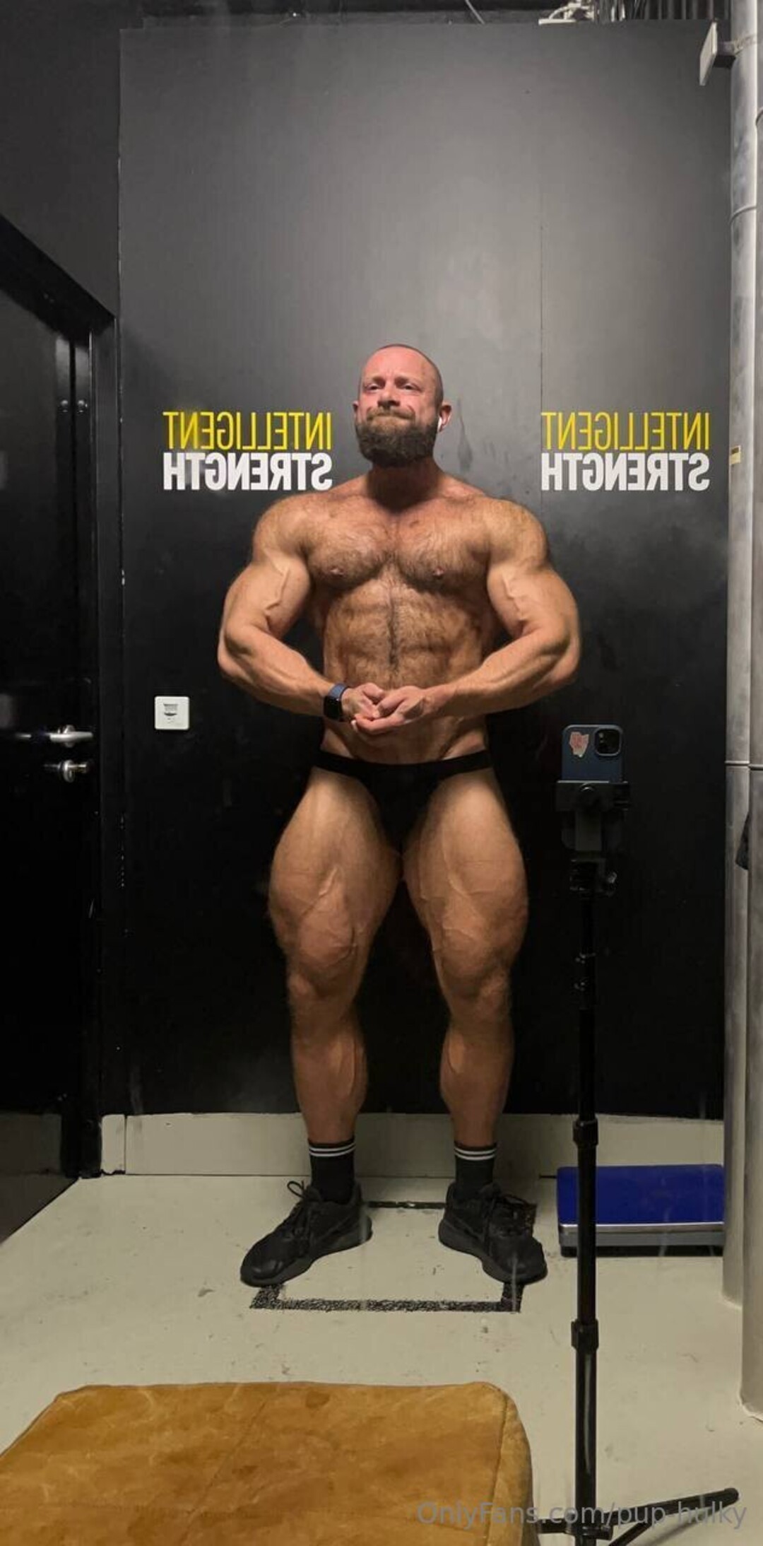 Pup Hulky pornstar art image