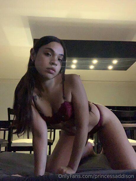 Princessaddison top star archive