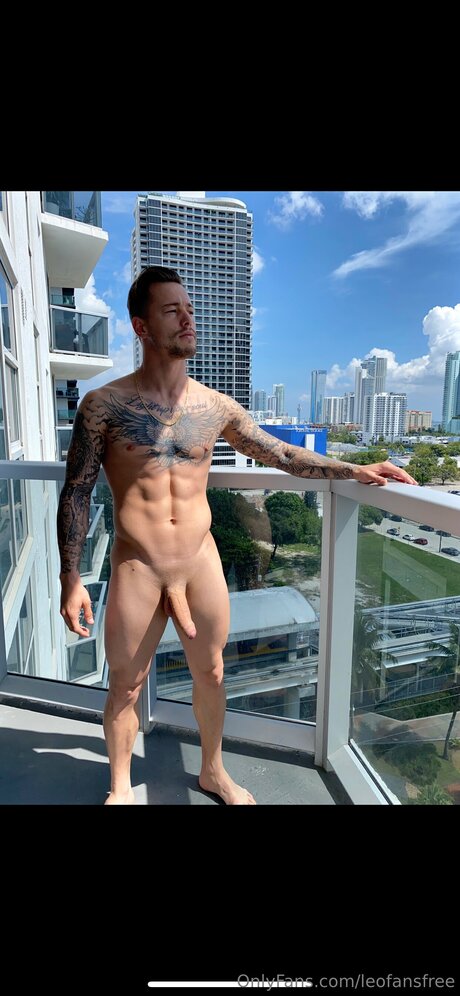 Leofansfree star high quality image