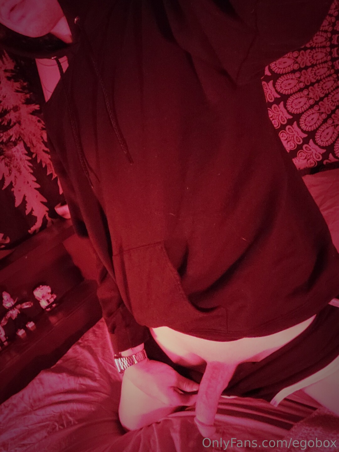 Egobox star adult photos