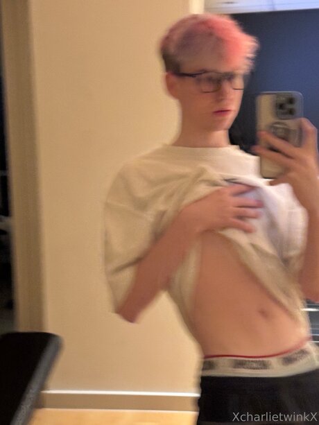 Xcharlietwinkx profile image