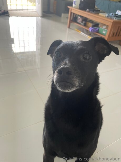 skinny big tits onlyfans top pictures