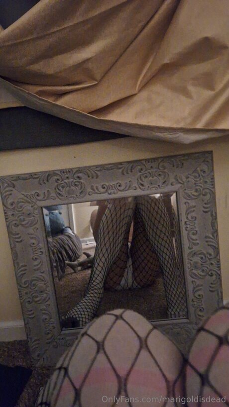 Marigoldisdead pornographic star archive