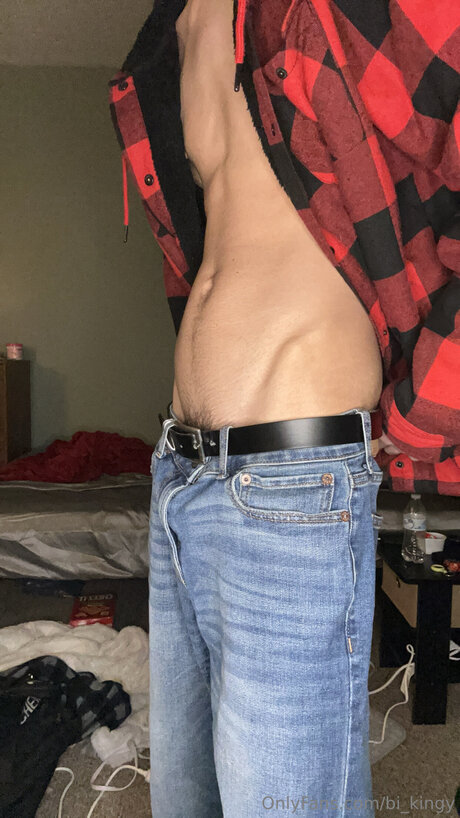 Bi Kingy best model img