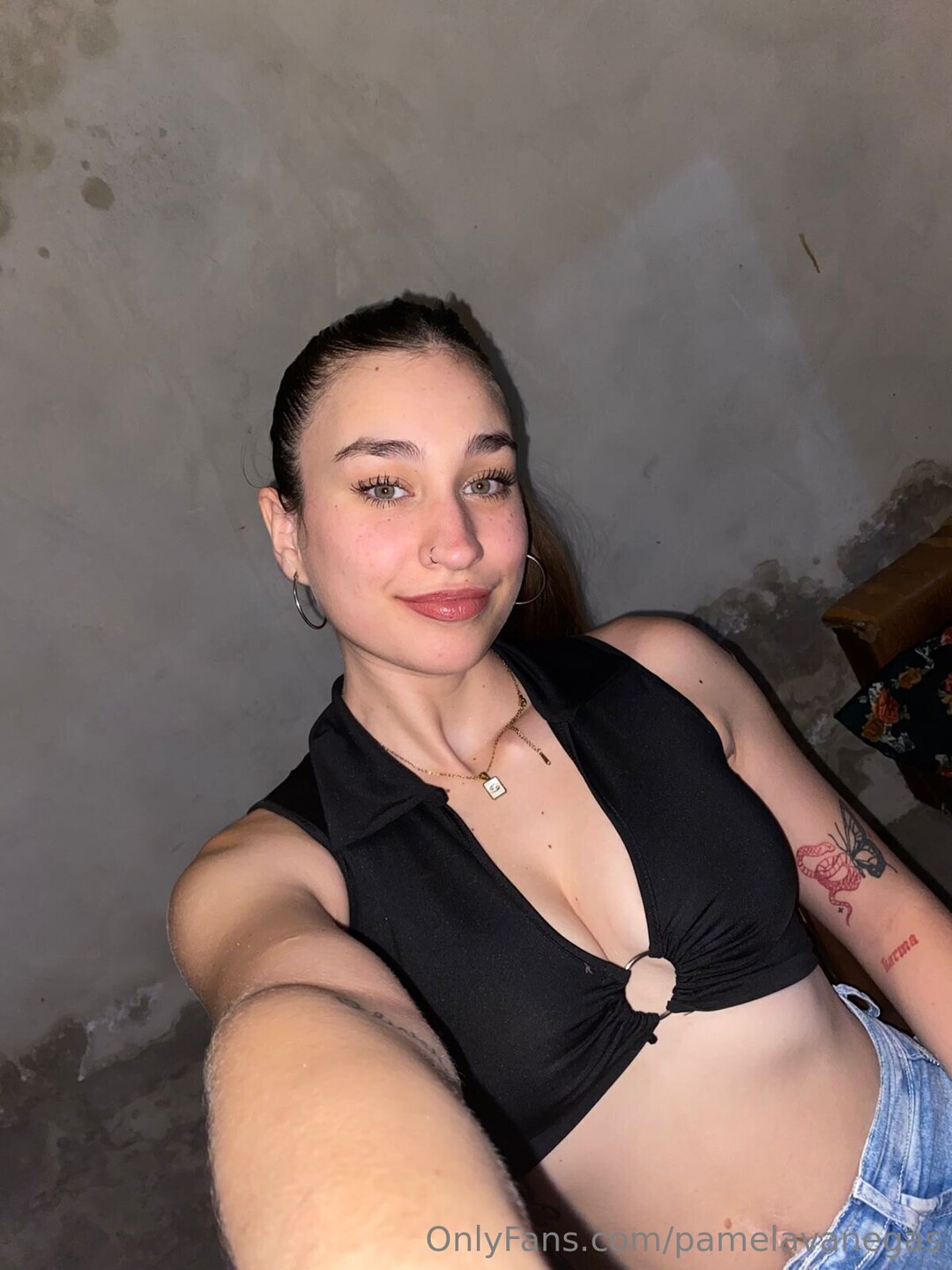 Pamelavanegas star naked picture