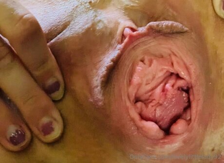 Lovelylittlelady92 perfect pornstar img