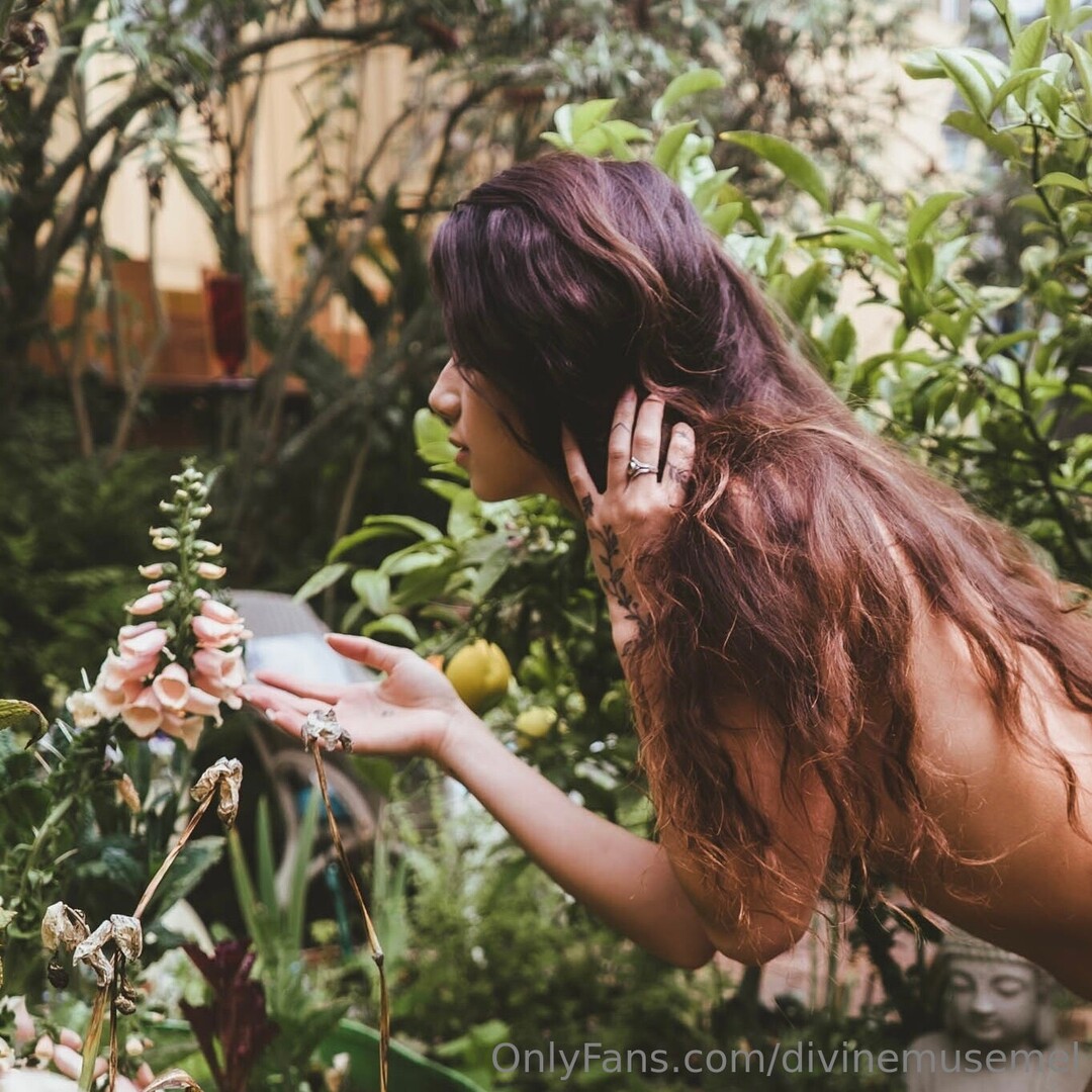 Divinemusemel pornstar free img