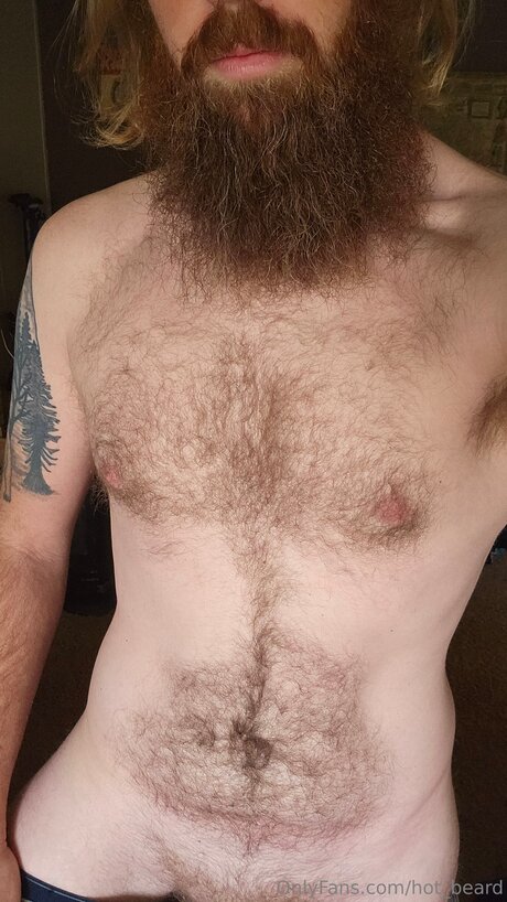 Hot Beard adult star img