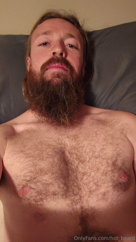 Hot Beard pornstar img