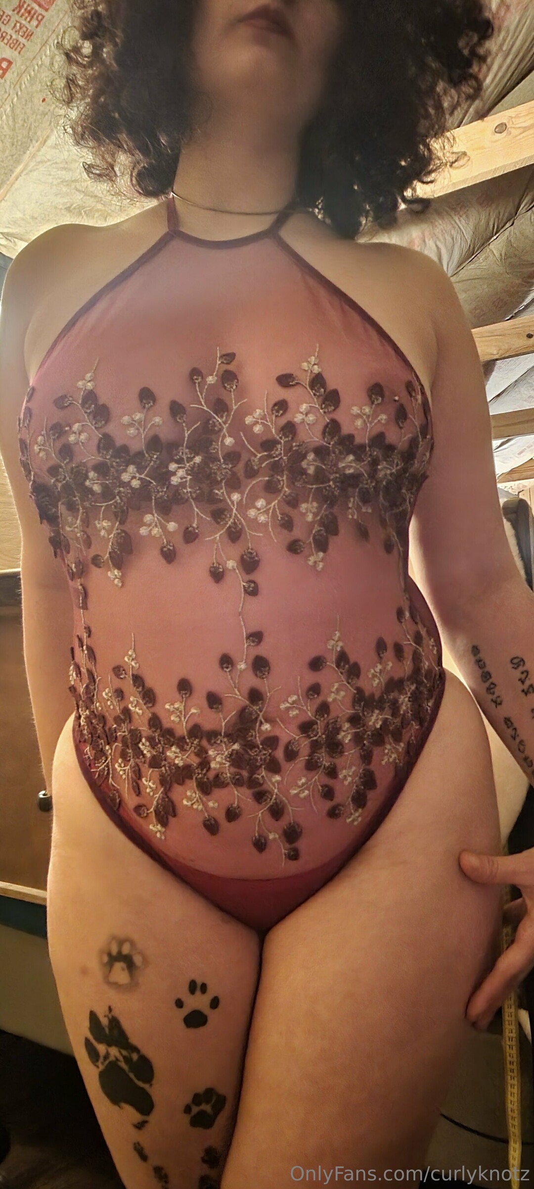 Curlyknotz hot model archive