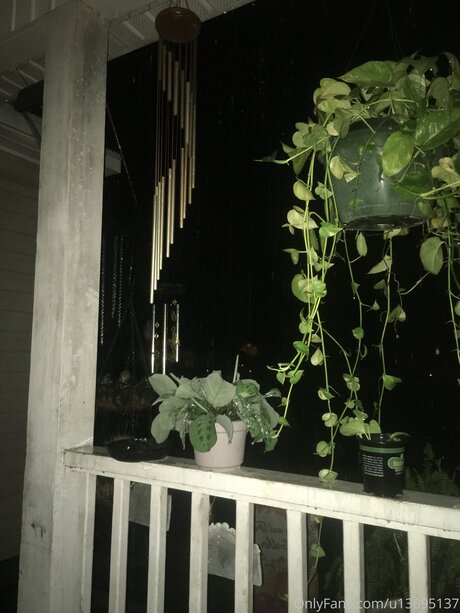 U13695137 pornstar hd archive