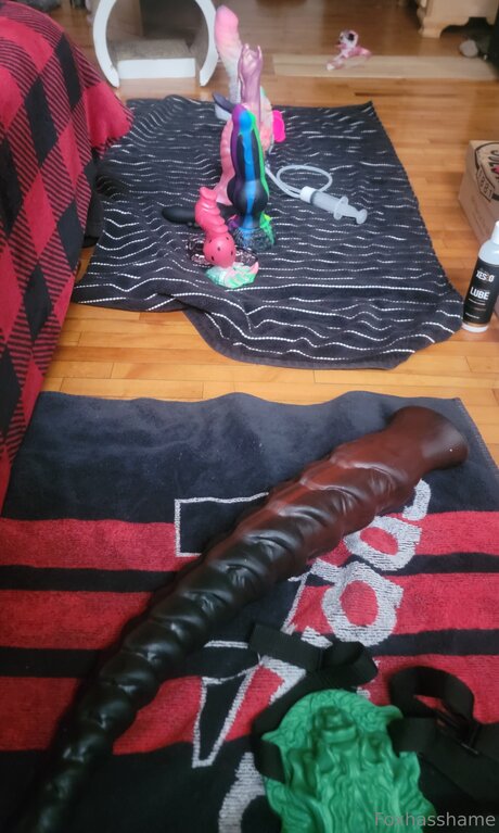 Foxhasshame sexy star galleries