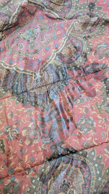 Foxhasshame hd model images