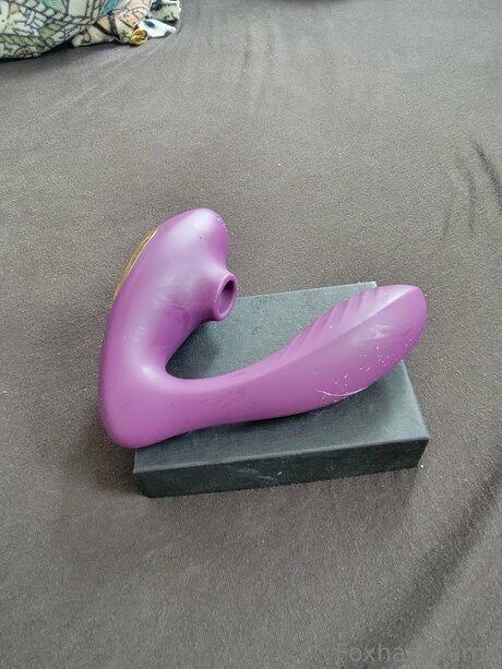 Foxhasshame pornstar nudes img