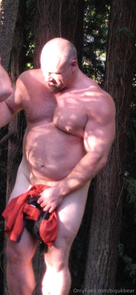 Bigukbear best star picture