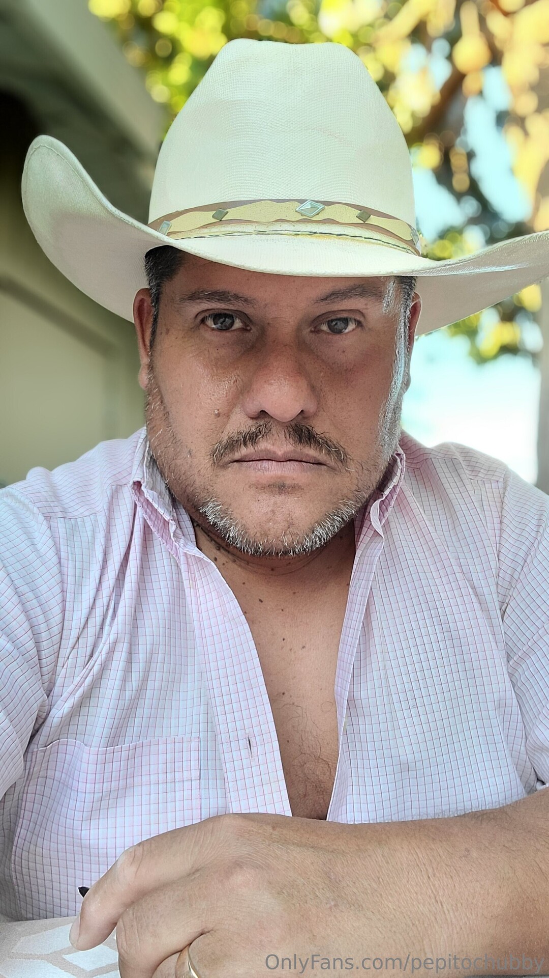 Pepitochubby star hd image