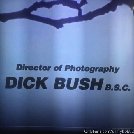 pornstars onlyfans beautiful xxx gallery