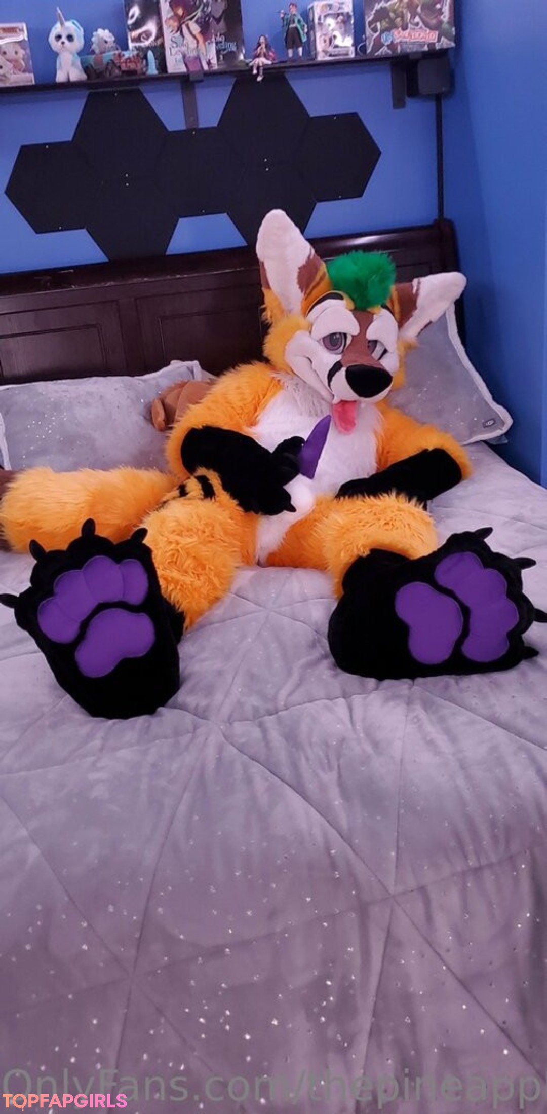 thepineapplefox star high quality images
