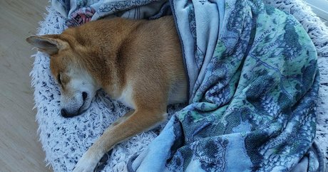 ccbunz best actress img