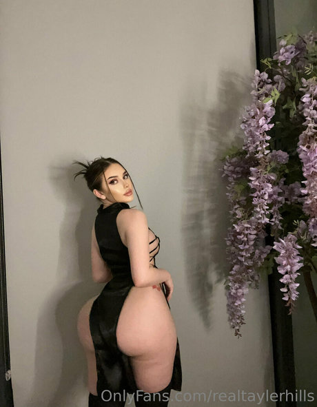 realtaylerhills model top photo