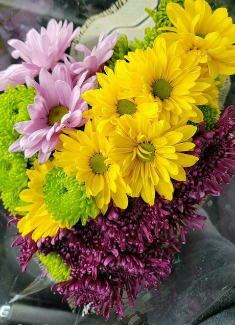 alex alaina after dark hd actress photos