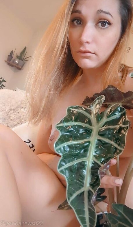 pandapaws022 model pretty pics