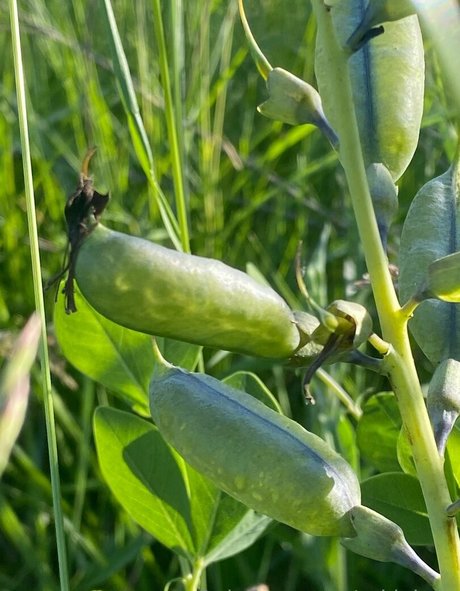 asian teen feet onlyfans art naked images