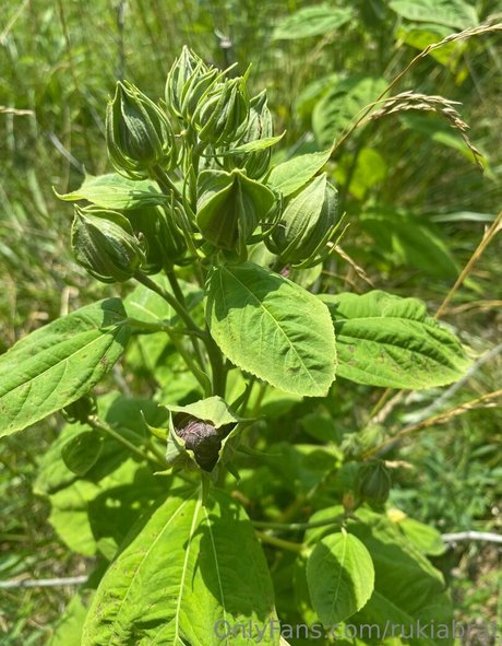 teen topless onlyfans beautiful nude picture