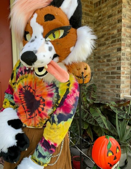 fox anatomy model exclusive image