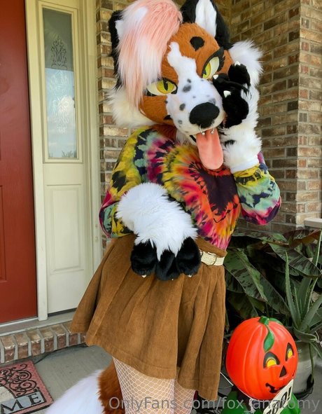 fox anatomy star art pics