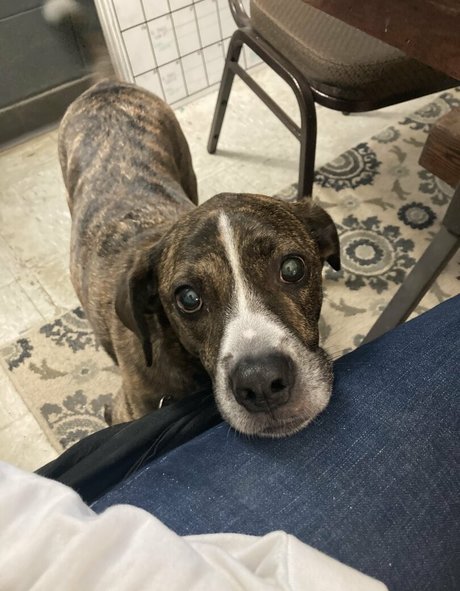 bridgetblack model free gallery