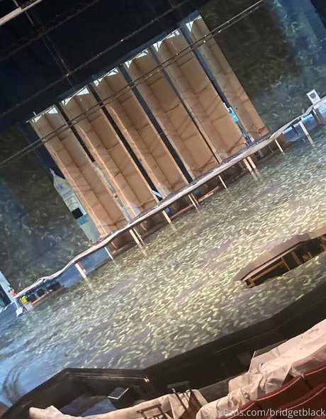 bridgetblack exclusive pornstar photo